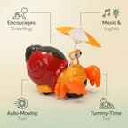 Crawling crab toy features infographic